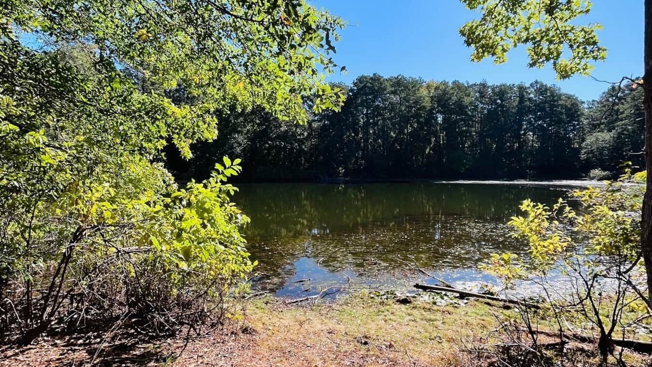 Photo of Outdoor in Livingston