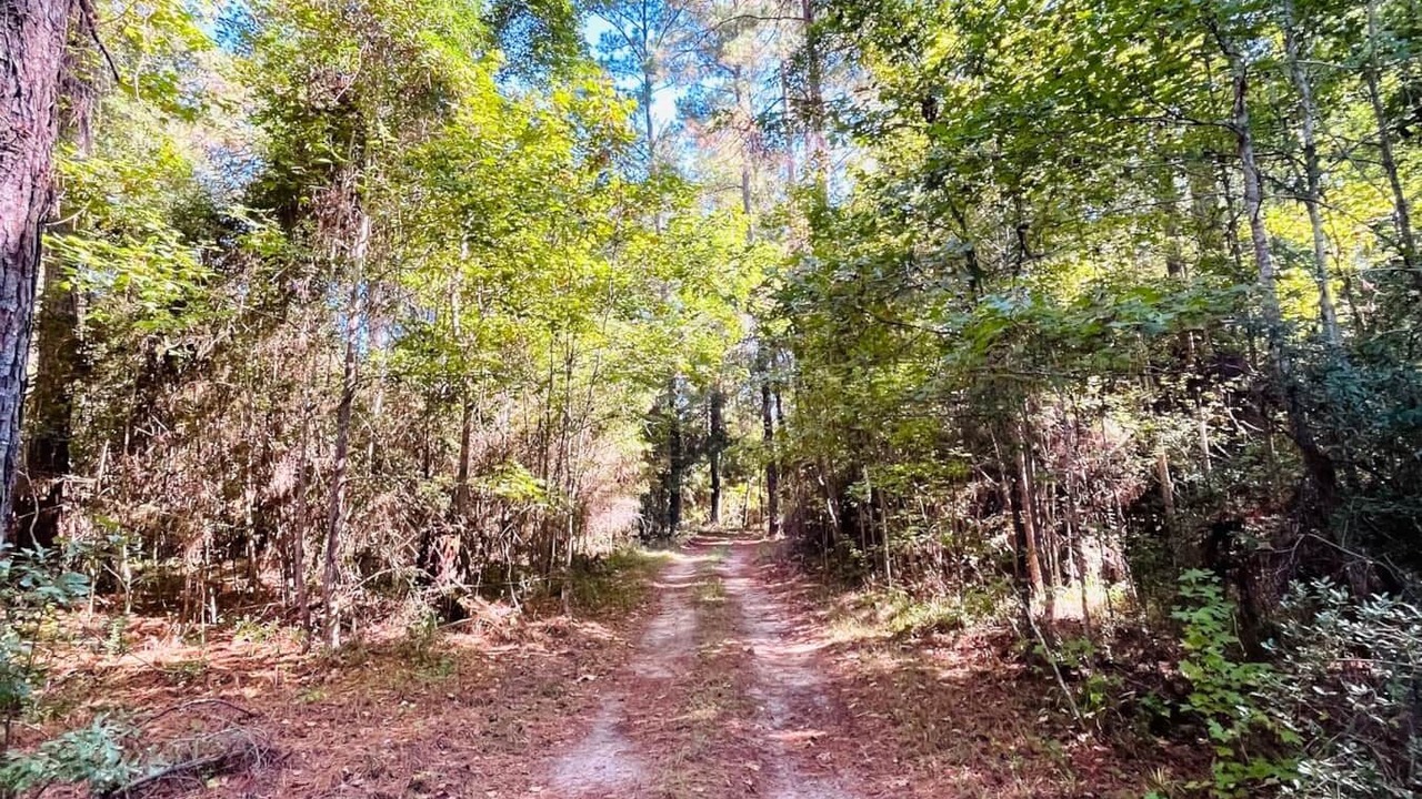 Photo of Outdoor in Livingston