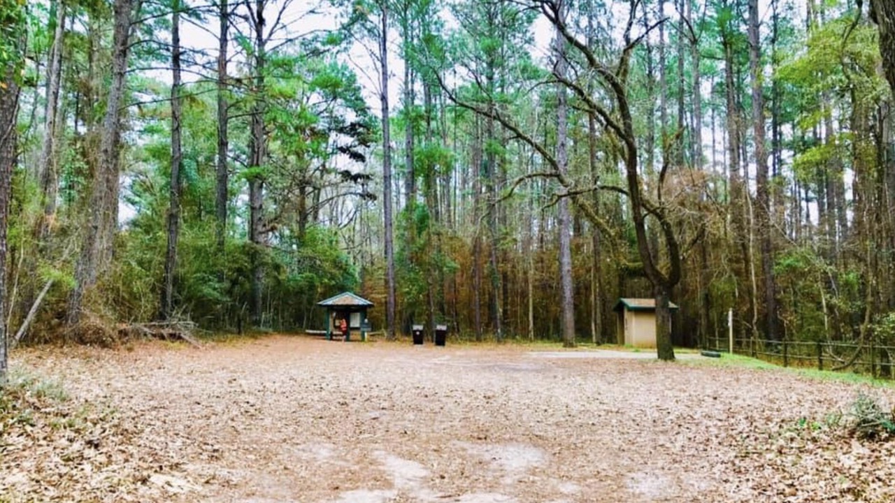 Photo of Outdoor in Livingston