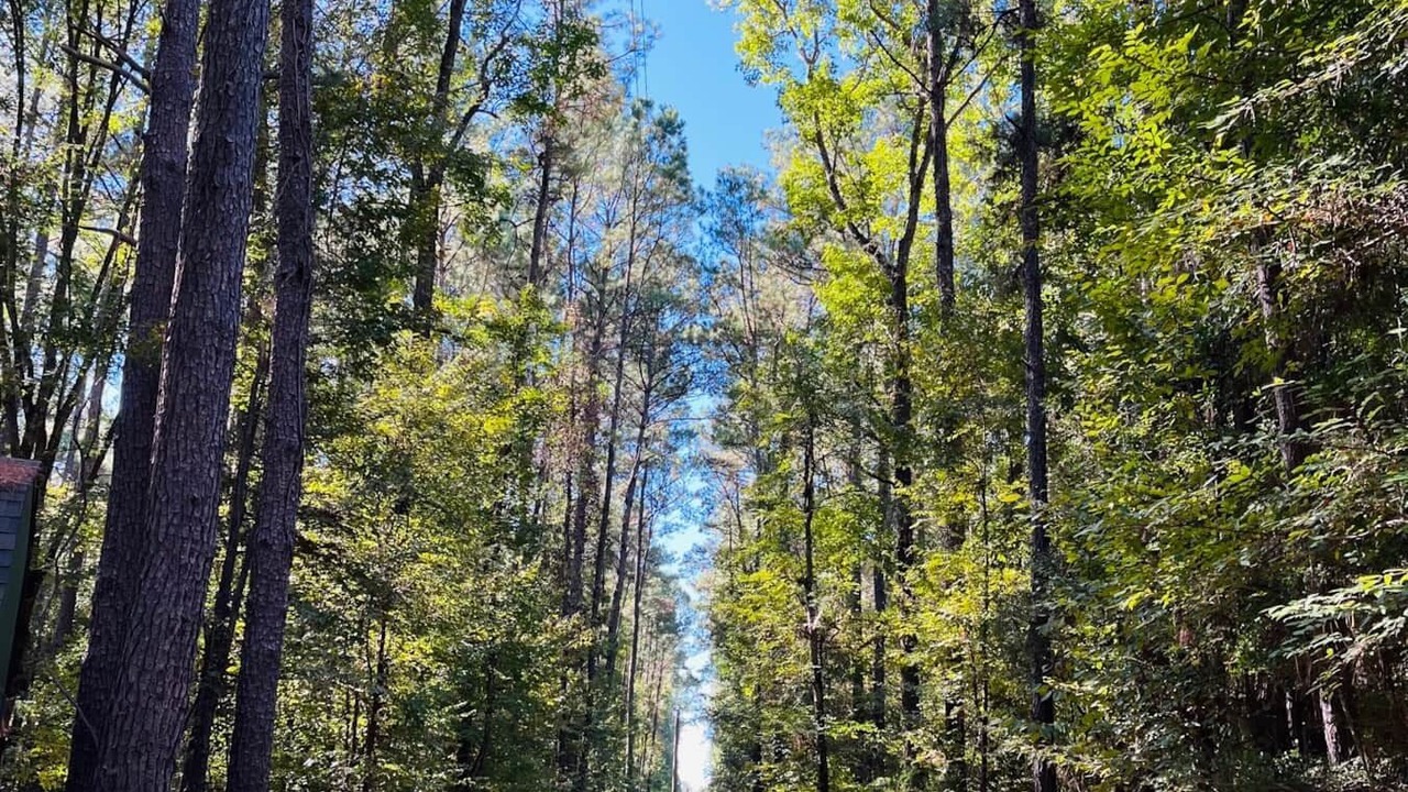 Photo of Outdoor in Livingston