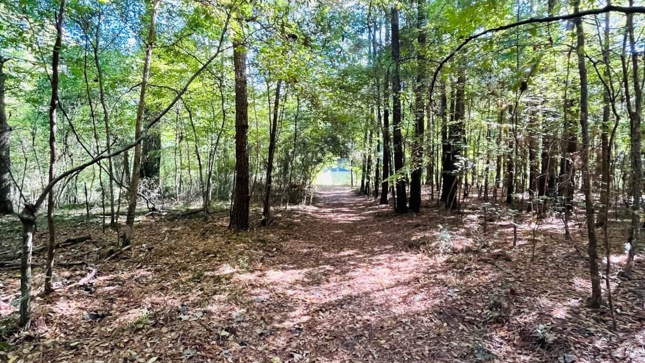 Photo of Outdoor in Livingston