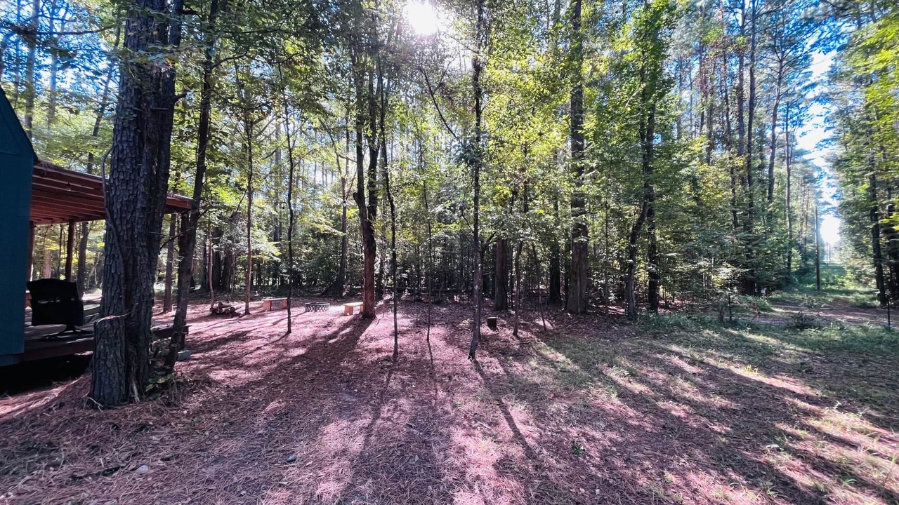 Photo of Outdoor in Livingston