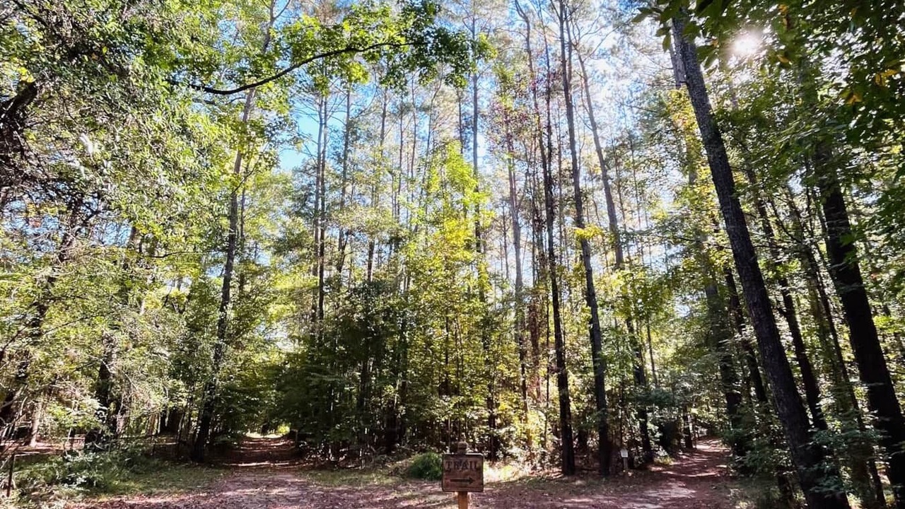 Photo of Outdoor in Livingston