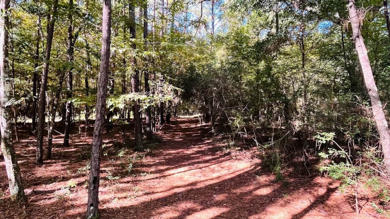 Photo of Outdoor in Livingston