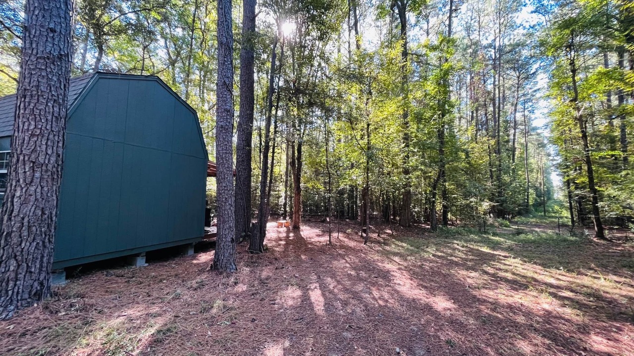 Photo of Outdoor in Livingston