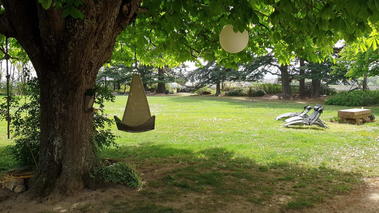 Photo of Outdoor in Blace