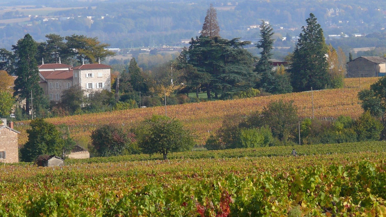 Photo of Outdoor in Blace