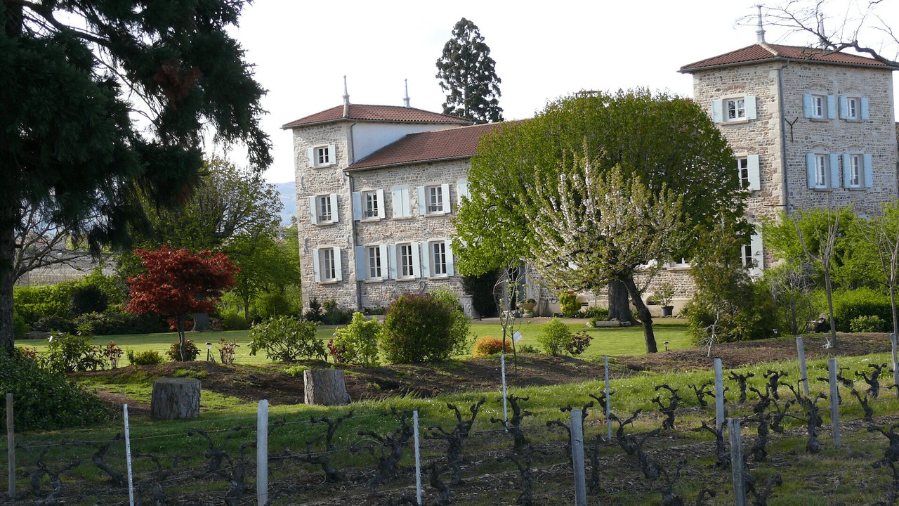 Photo of Outdoor in Blace