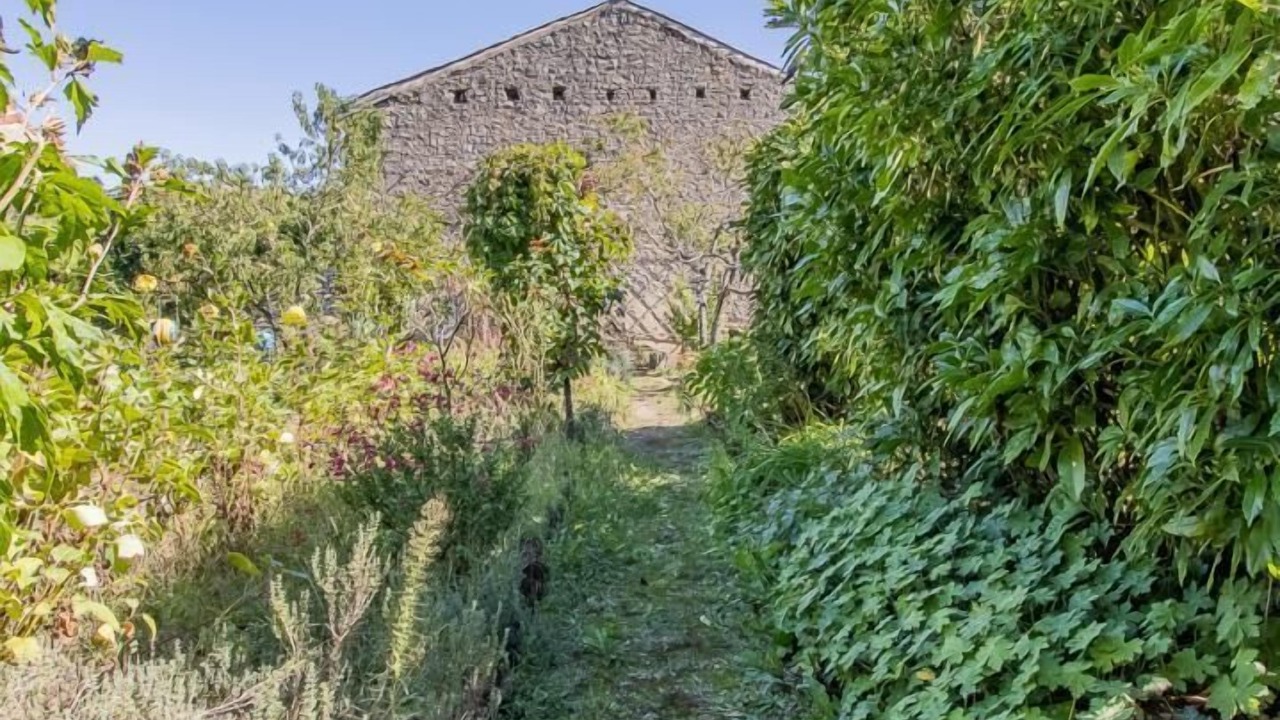 Photo of Outdoor in Cluny