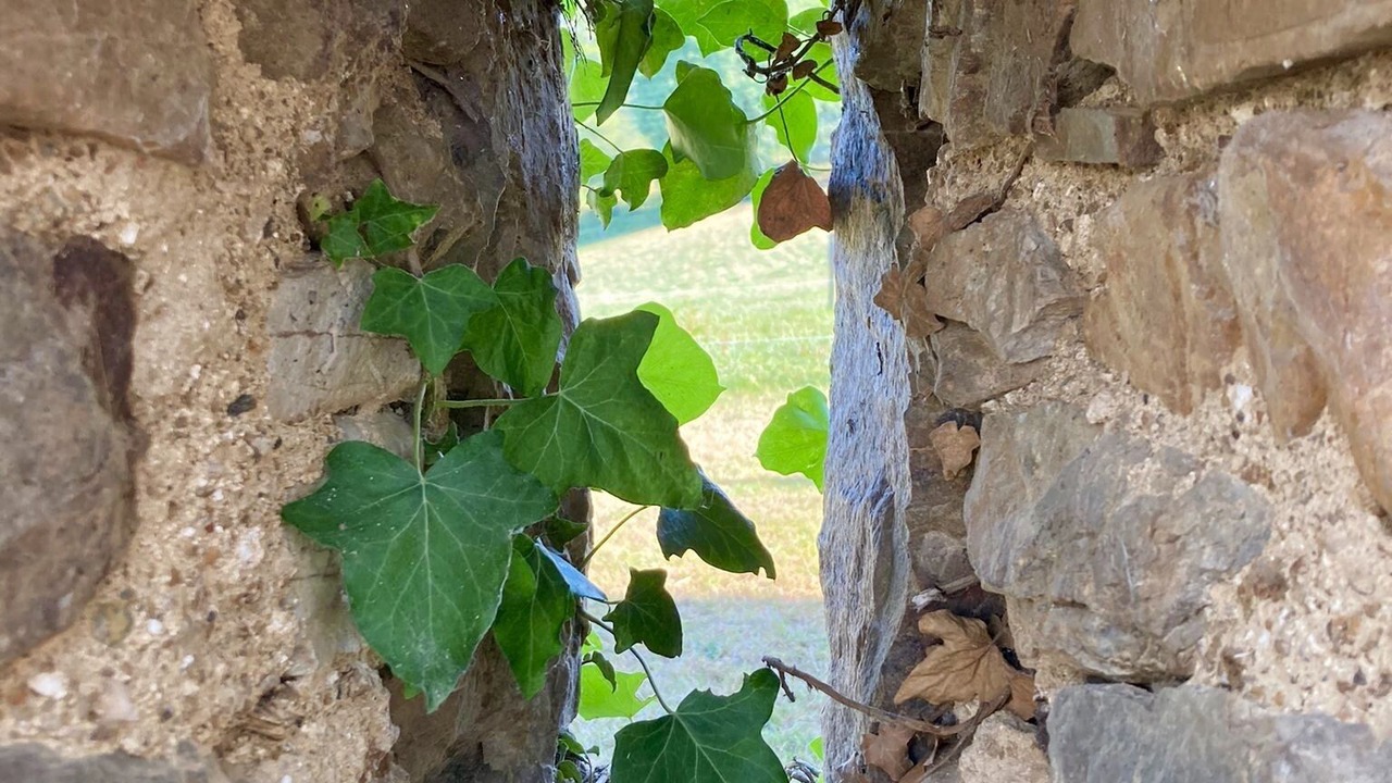 Photo of Outdoor in Montesquieu-Avantes