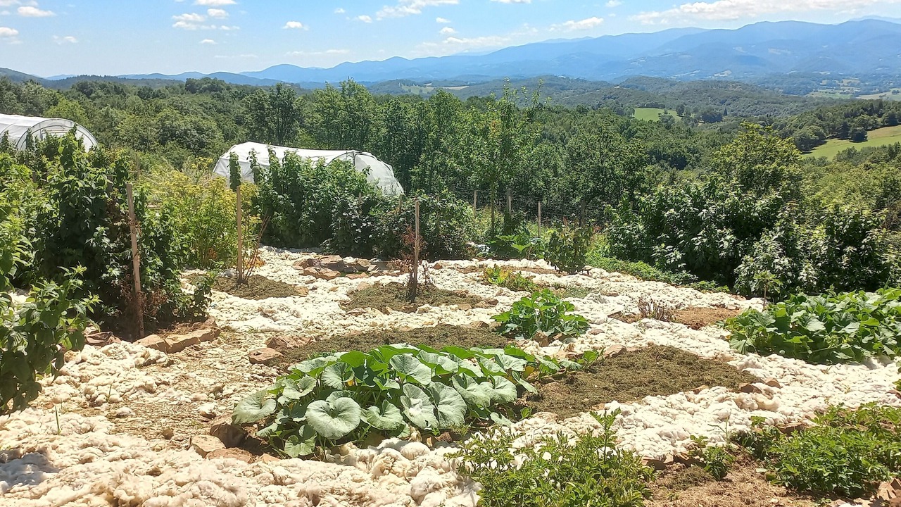 Photo of Outdoor in Montesquieu-Avantes