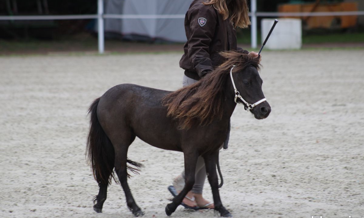 Photo of Others in Montesquieu-Avantes