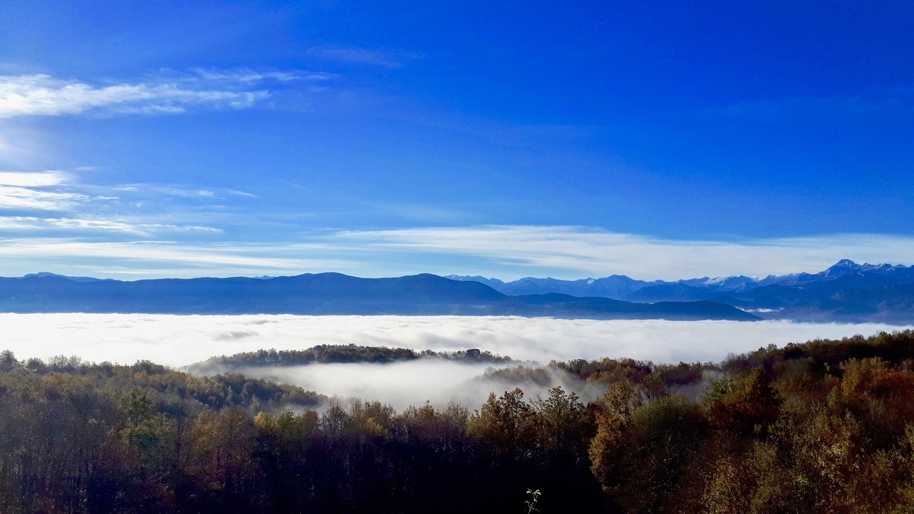 Photo of Others in Montesquieu-Avantes