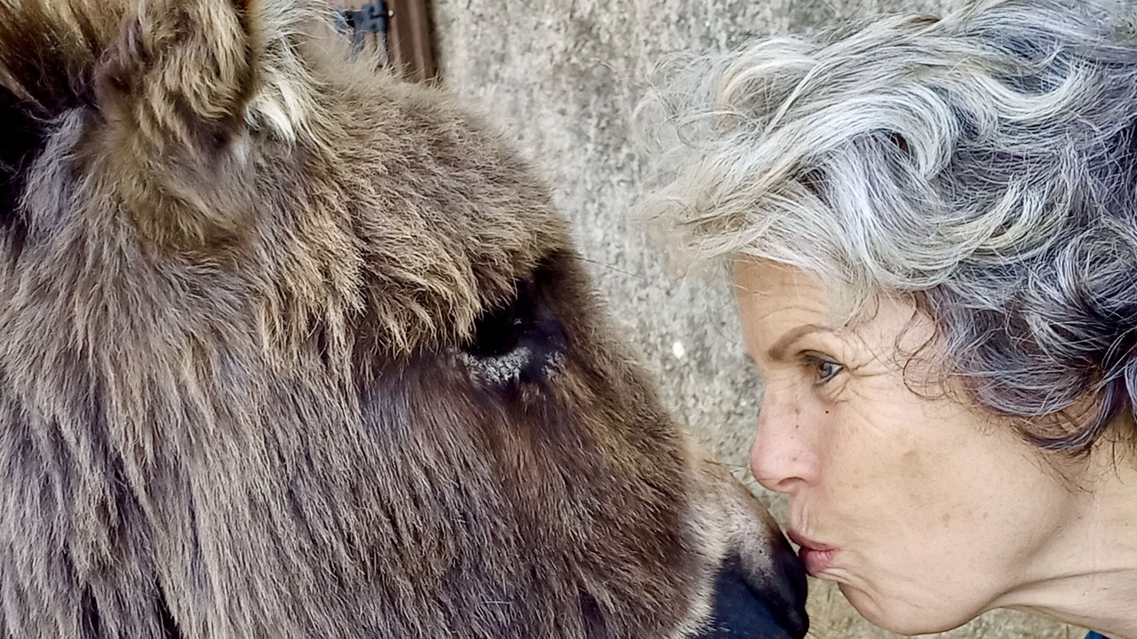 Photo of Others in Montesquieu-Avantes