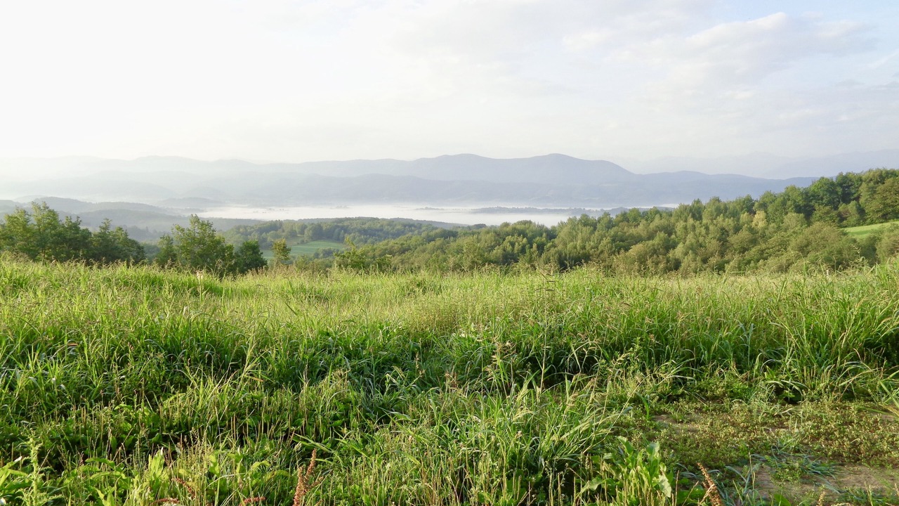 Photo of Outdoor in Montesquieu-Avantes