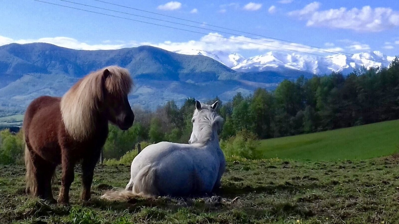 Photo of Outdoor in Montesquieu-Avantes