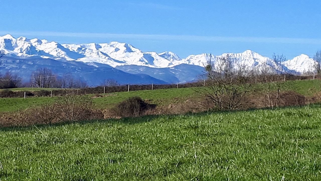 Photo of Outdoor in Montesquieu-Avantes