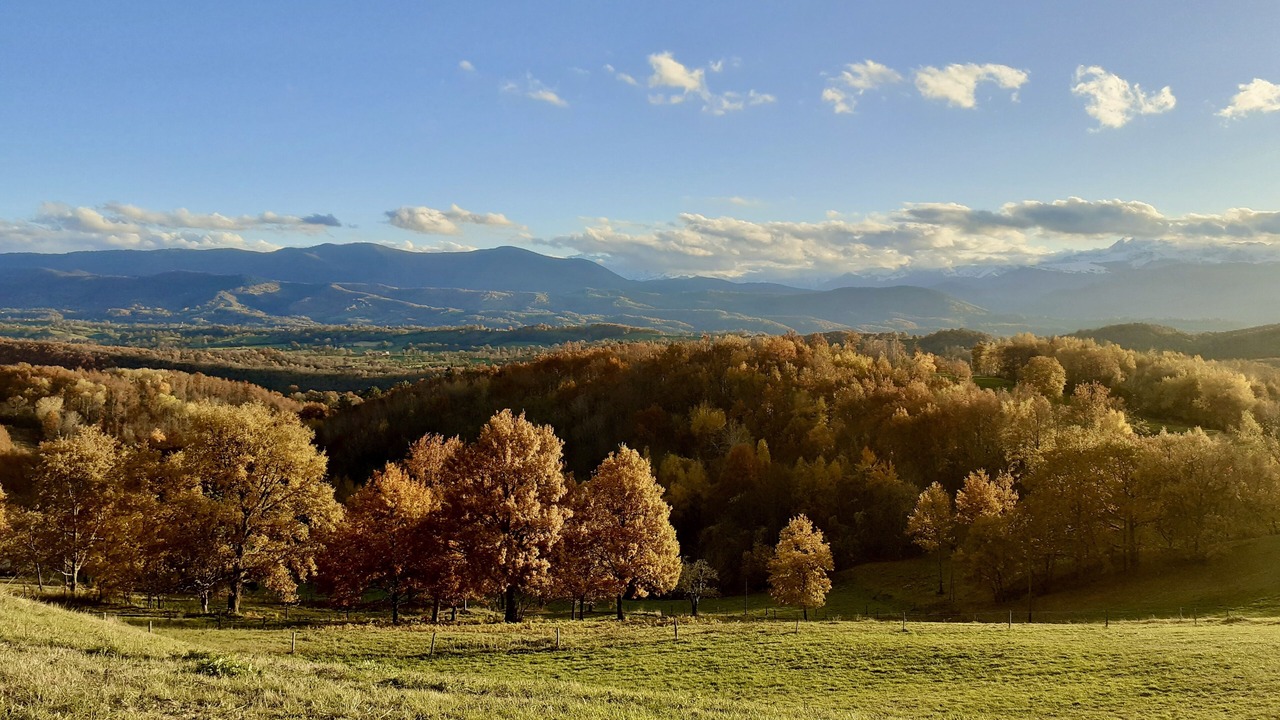 Photo of Outdoor in Montesquieu-Avantes