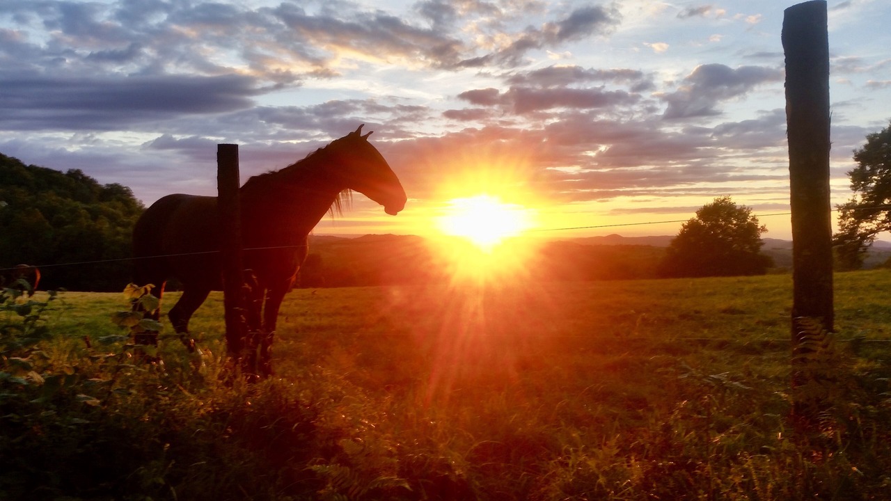 Photo of Outdoor in Montesquieu-Avantes