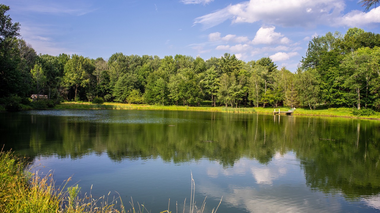 Photo of Outdoor in Liberty