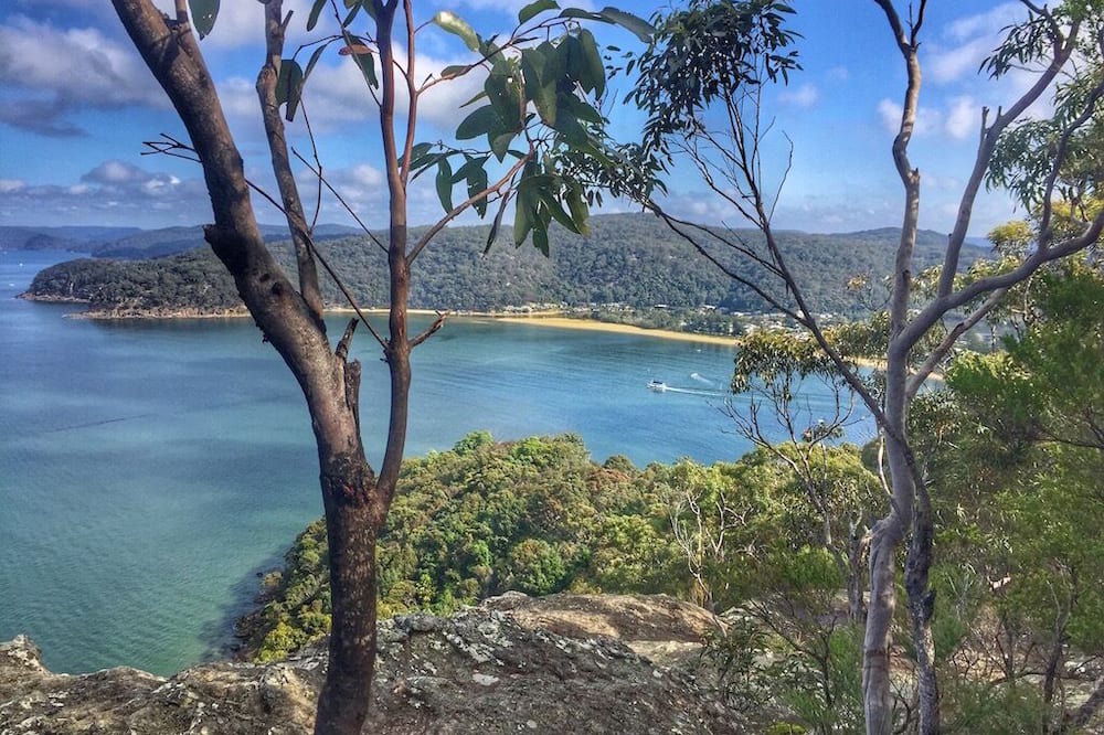 Photo of Others in Phegans Bay