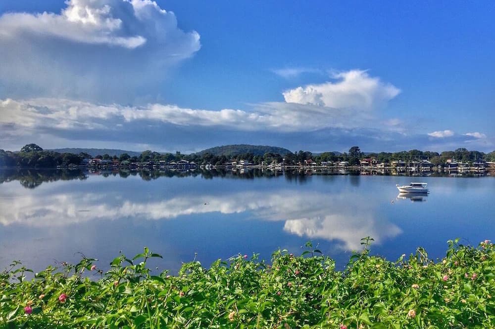 Photo of Others in Phegans Bay