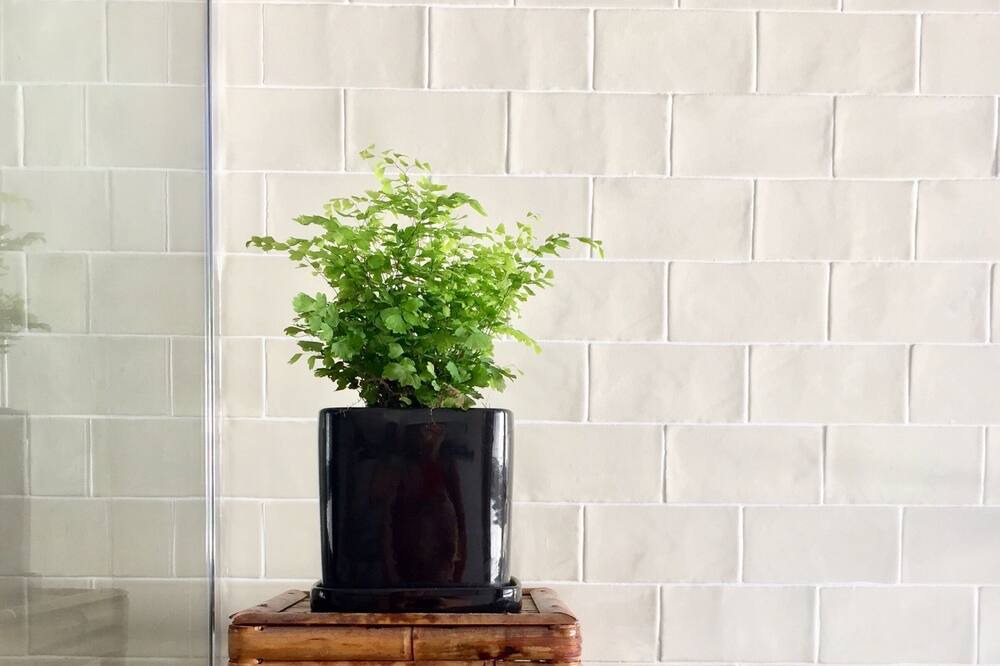 Photo of Bathroom in Phegans Bay