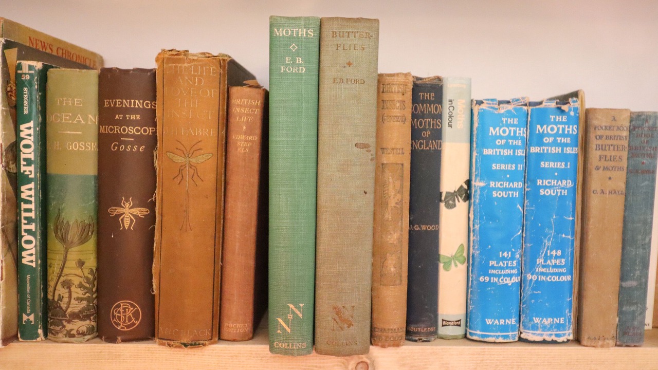 Photo of Others in Bures