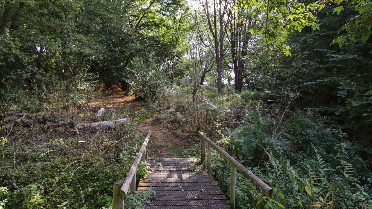 Photo of Others in Bures