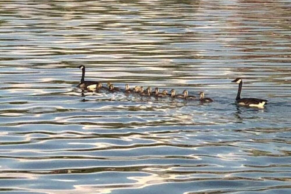 Photo of Others in Nashport