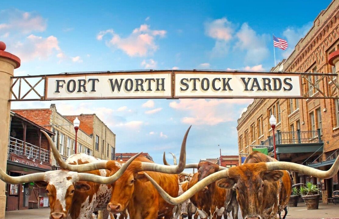 Photo of Others in Fort Worth