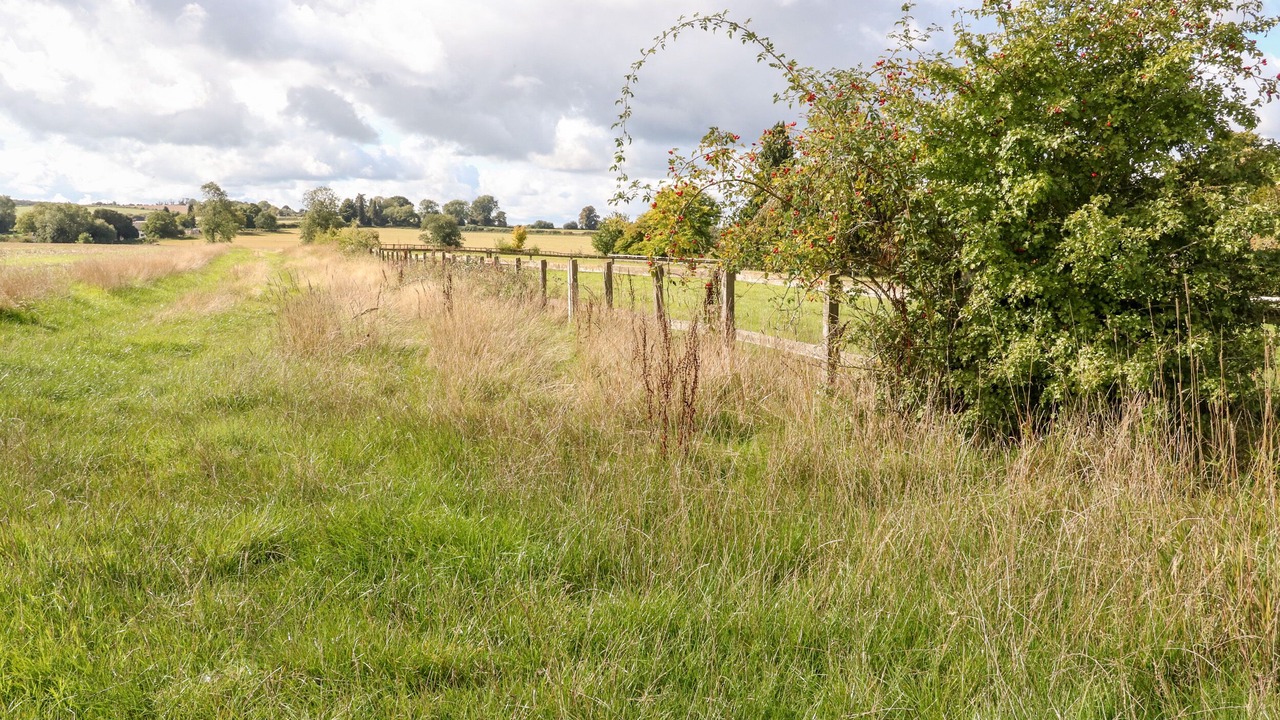 Photo of Outdoor in Alresford