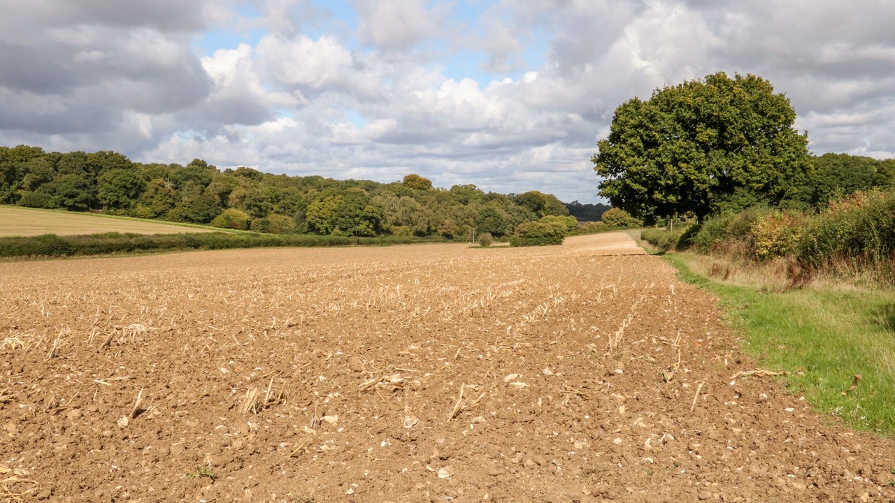 Photo of Outdoor in Alresford