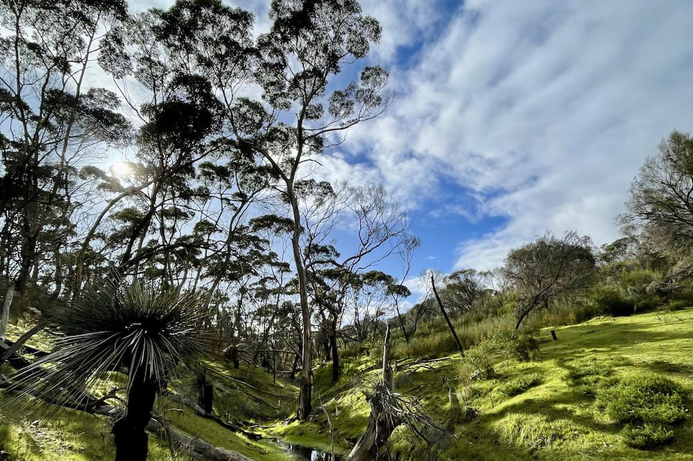 Photo of Outdoor in Duncan