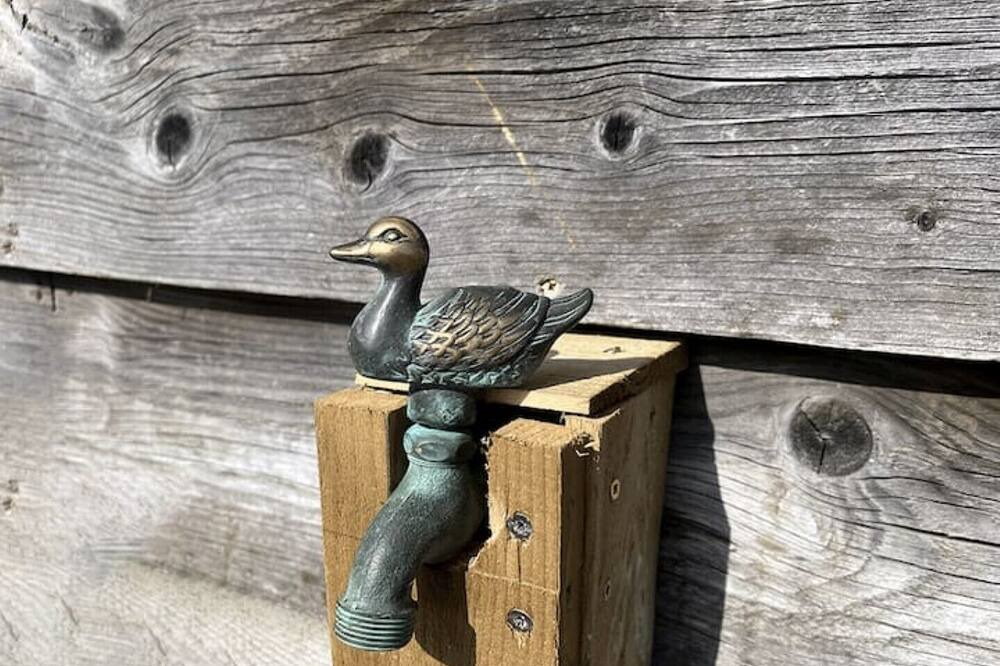 Photo of Others in Alton Barnes