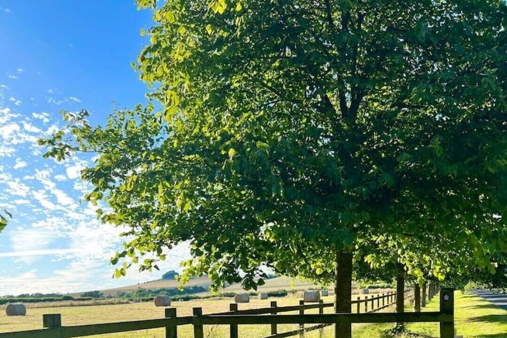 Photo of Others in Alton Barnes