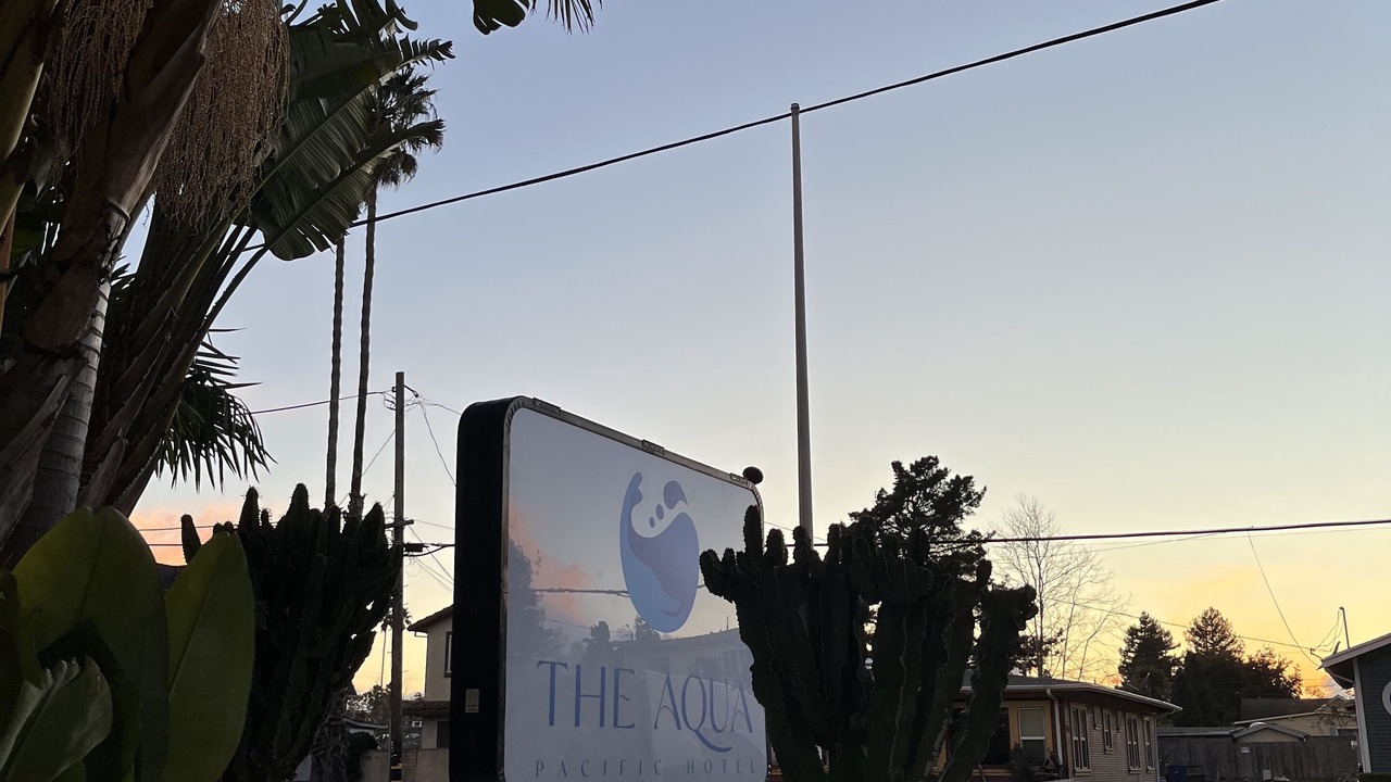 Photo of Outdoor in Westside Santa Cruz