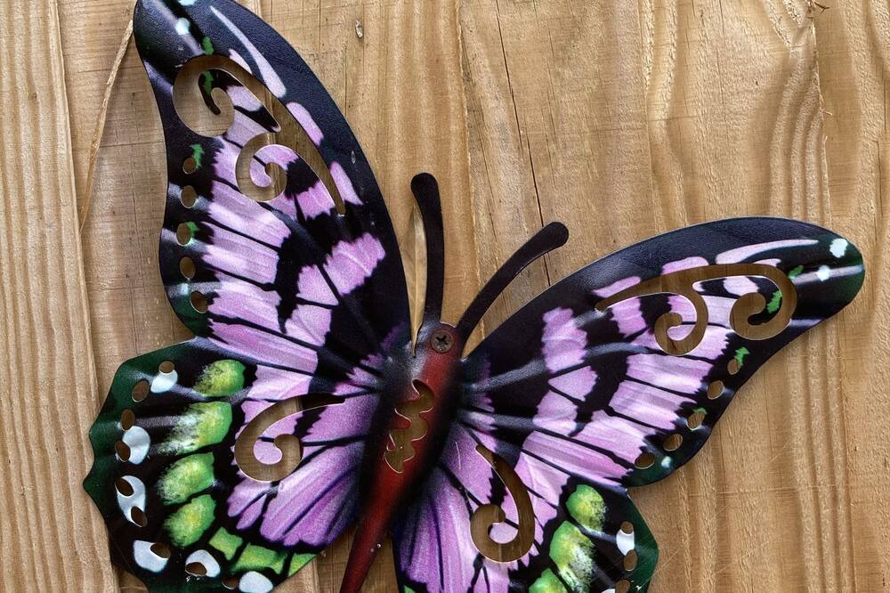 Photo of Others in Kingston