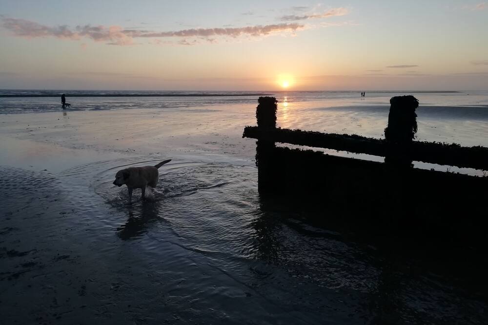 Photo of Others in Kingston