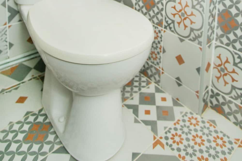 Photo of Bathroom in Notre Dame