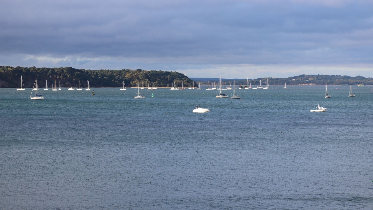 Photo of Others in Wimborne