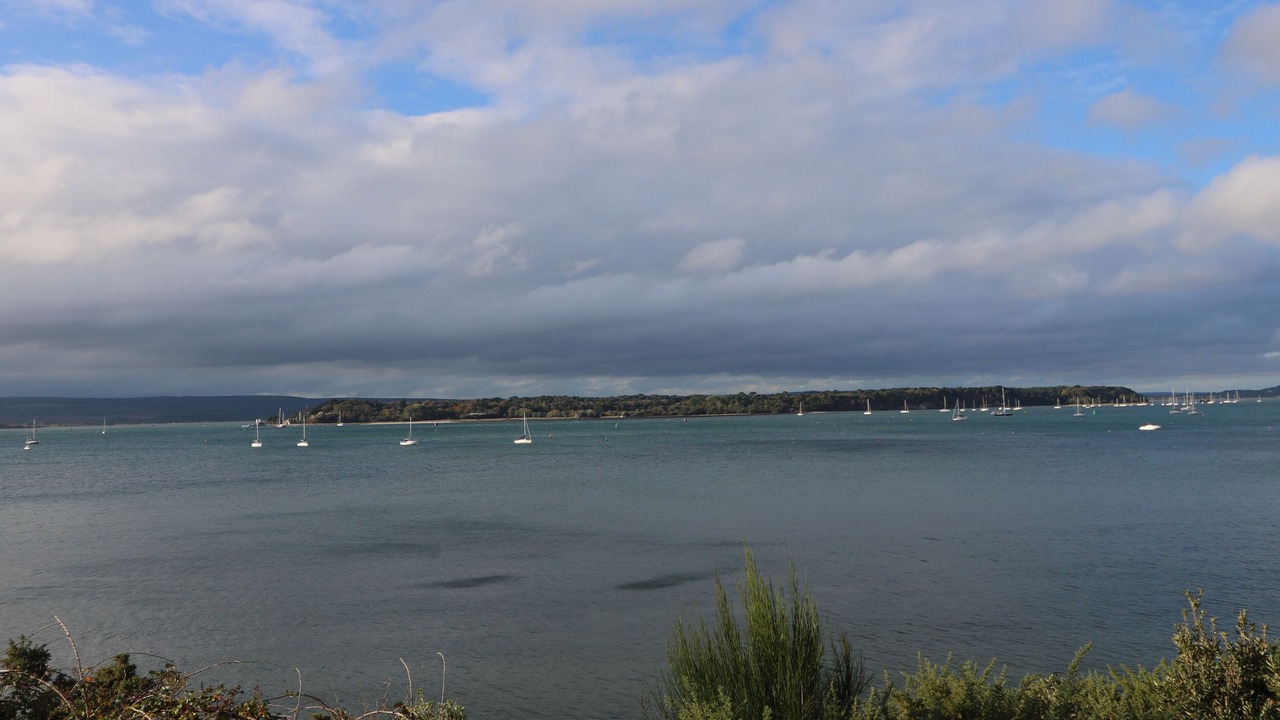 Photo of Others in Wimborne