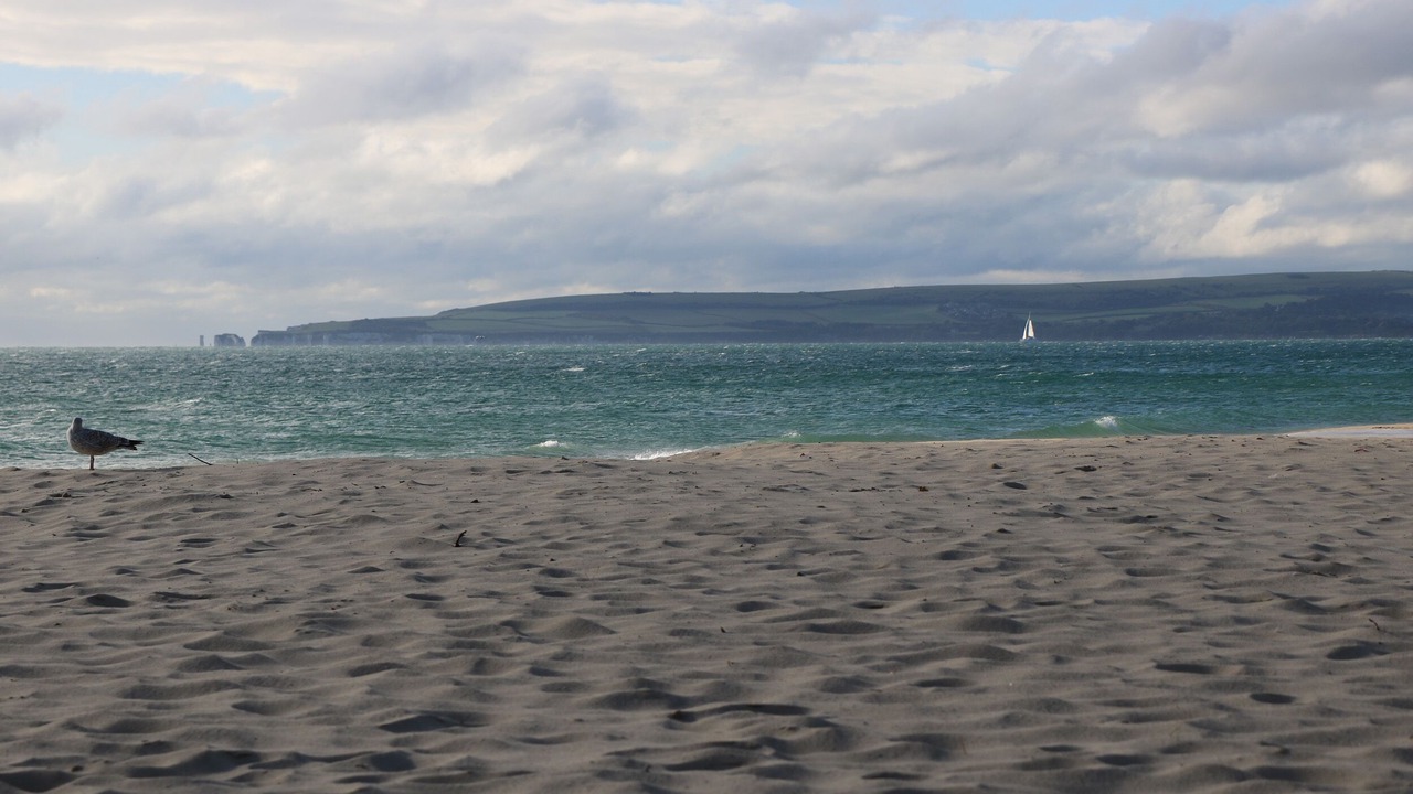 Photo of Others in Wimborne