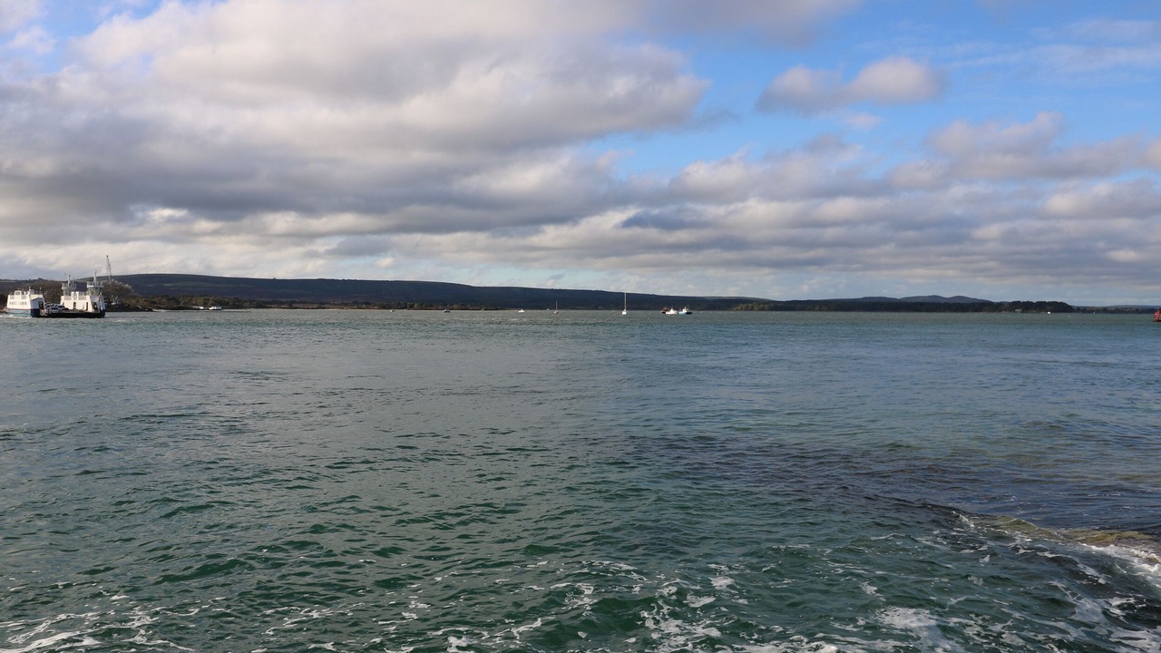 Photo of Others in Wimborne