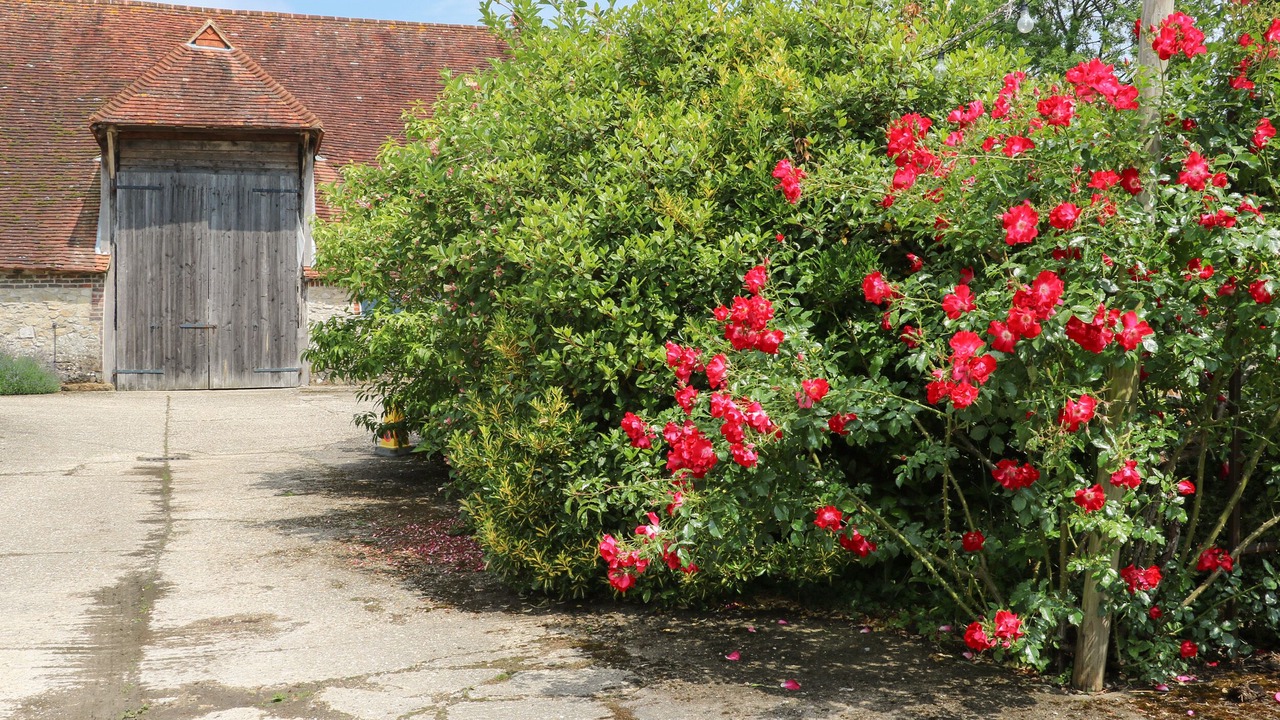 Photo of Outdoor in Pulborough