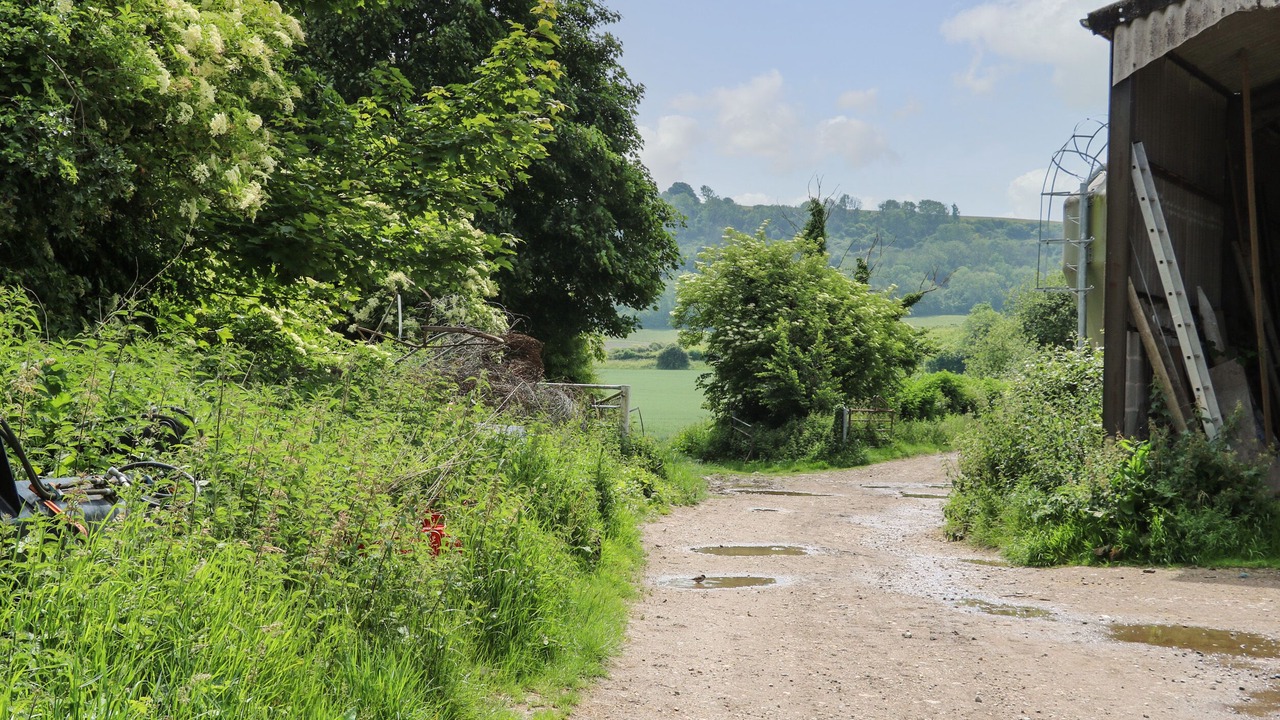 Photo of Outdoor in Pulborough