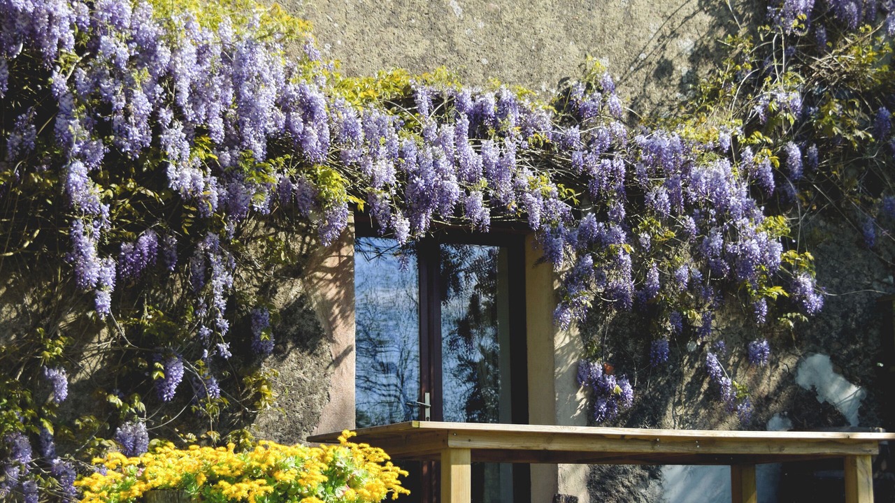 Photo of Outdoor in Madiran