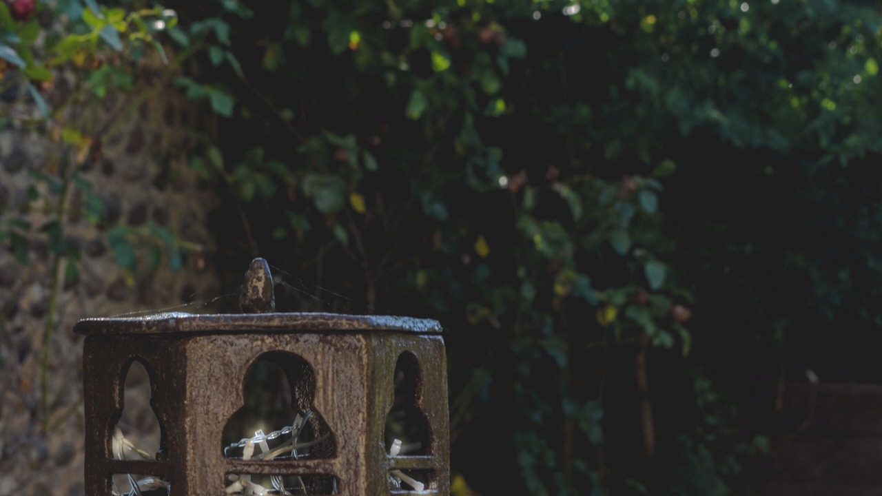 Photo of Outdoor in Madiran