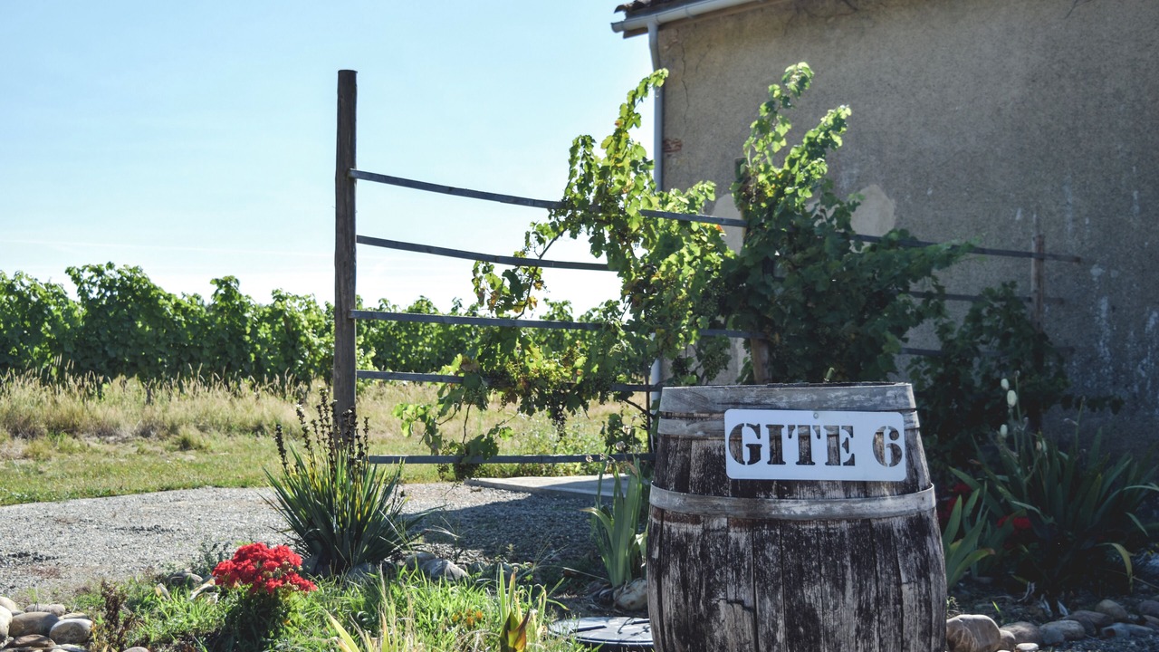 Photo of Others in Madiran