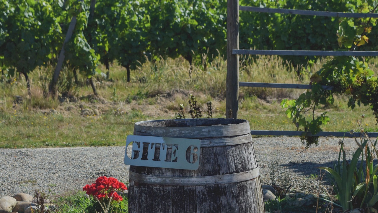 Photo of Others in Madiran